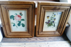 386-Two-Framed-Specimen-Pictures-of-Flowers