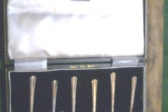 0393-Boxed-Set-of-6-Enamel-Spoons