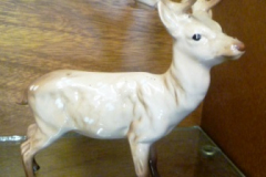 0112-Beswick-Stag-AF