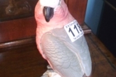 118-Beswick-Cockatoo