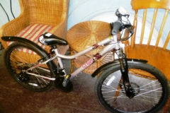 516-Childs-Apollo-Bicycle