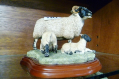 0107-BFA-Black-Face-Ewe-and-Lamb
