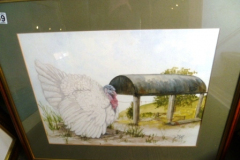 0309-Framed-Watercolour-of-a-Turkey