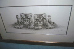 0324-Ltd-Ed-Print-with-Certificate-Young-Stripe-Warwick-Higgs-128-of-395