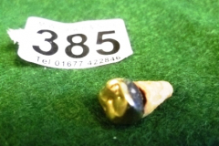 0385-Tooth-with-Gold-Crown