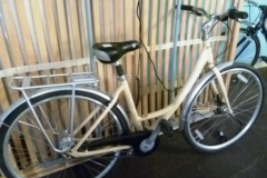 0547-Giant-Ladies-Cycle