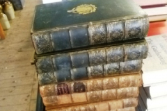 014-Nine-Leather-Bound-Volumes-of-Classic-Literature