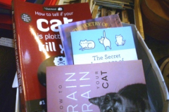 055-Selection-of-Cat-Books