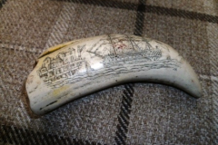 138-Scrimshaw-with-Ship-Decoration