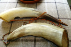 141-2-Horns