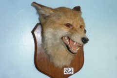 264-Fox-Mask