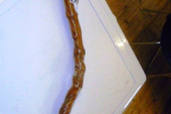290-Crooked-Wooden-Walking-Stick
