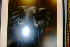 306-Framed-Elephant-Print