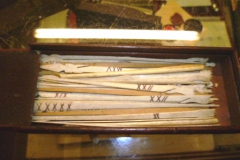 329-Bone-Markers-in-Box