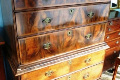 371-Antique-Burr-Walnut-Chest-on-Chest