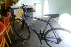 0493-Aeron-Racing-Cycle