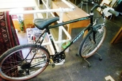 0494-Emmelle-Cheetah-Mens-Cycle