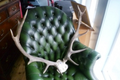 096-10-Point-Stag-Antlers