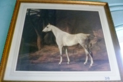 310-Gilt-Framed-Print-of-a-White-Horse