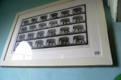 329-Framed-Scenes-of-an-Elephant