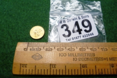 349-Gold-Native-American-One-USA-Dollar-Coin-1862