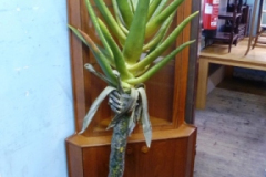 438-Artificial-Aloe-Vera-Plant