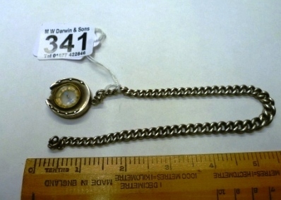 341-Compass-with-Horseshoe-Design-Setting-with-Chain