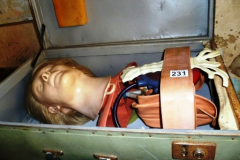 231-Vickers-Medical-Model-in-Case