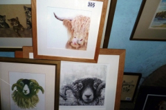 305-3-Framed-Prints-of-Sheep-and-Highland-Cow-Heads