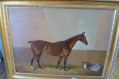 317-Gilt-Framed-Oil-Painting-of-Thoroughbred-by-Colin-Graeme-1900-2