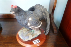 0109-Border-Fine-Arts-A1278-Blackcock-Bird