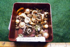 0430-Assorted-Silver-Earrings-Jewellery-etc