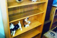 0476-Teak-Bookcase