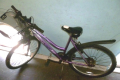 0518-Coral-Reef-Ladies-Cycle