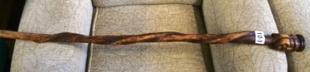 0108-Carved-Head-Twisted-Walking-Stick
