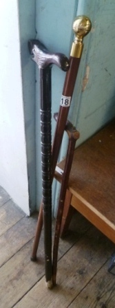 0318-3-Walking-Sticks