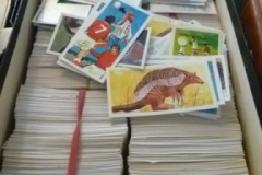 0011-Assorted-Tea-Cards