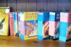 0133-Harry-Potter-Novels