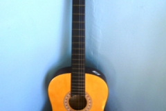 016-Viva-Classical-Acoustic-Guitar
