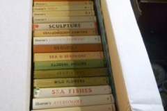 0024-Collection-of-Observer-Books