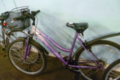 0541-Coral-Reef-Shopping-Bicycle