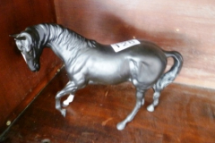 0128-Black-Matt-Beswick-Horse
