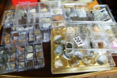 0201-Cases-of-Fossils-Rocks-etc