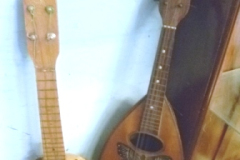 0324-Banjo-and-Mandolin-AF