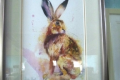 0339-Sitting-Hare-by-Helen-April