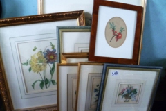 0348-Assorted-Floral-Prints