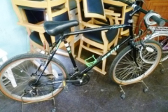 0516-Cheetah-Cycle