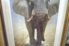 0314-Right-of-Way-Large-Print-of-Elephant-Signed-by-J-Banovich