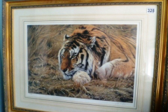 0328-Large-Print-of-a-Tiger-Ever--Signed-Alan-M-Hunt-924-of-950