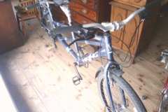 0391-Viking-Salerno-Tandem-Bicycle